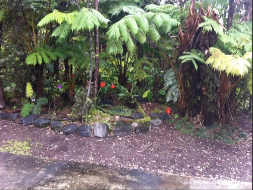 Aloha Ohia Hale Hotel Volcano Room photo